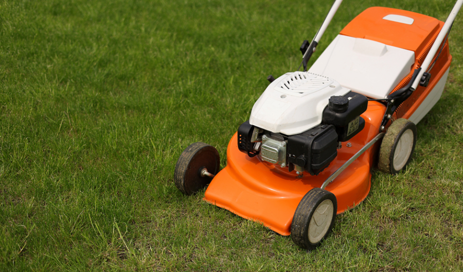 본문2- 정원공구